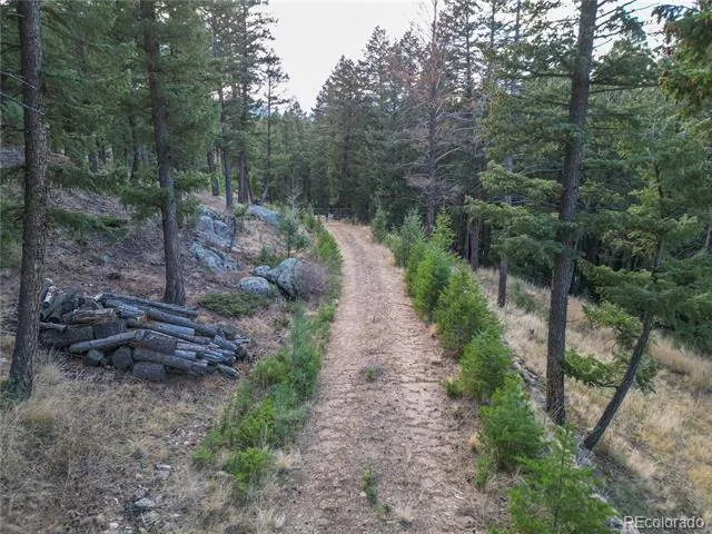 26779 Fern Gulch Road Evergreen, CO 80439