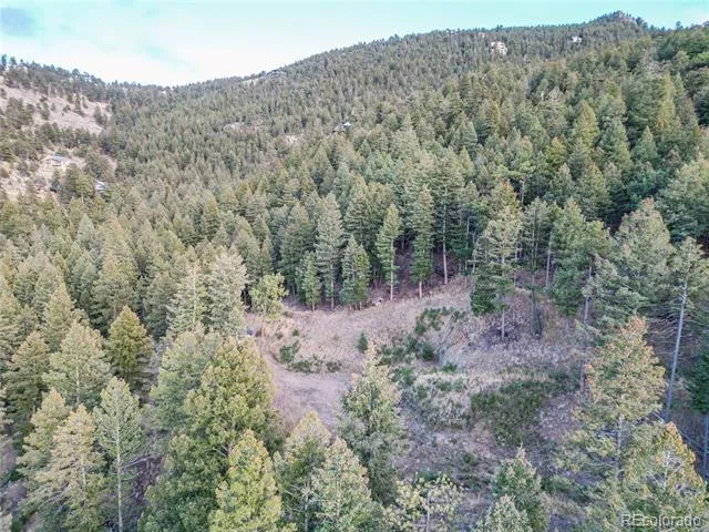 26779 Fern Gulch Road Evergreen, CO 80439