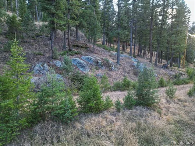 26779 Fern Gulch Road Evergreen, CO 80439