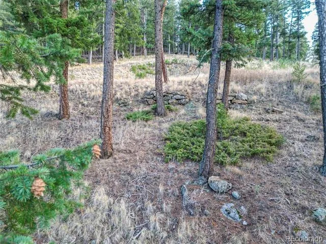 26779 Fern Gulch Road Evergreen, CO 80439