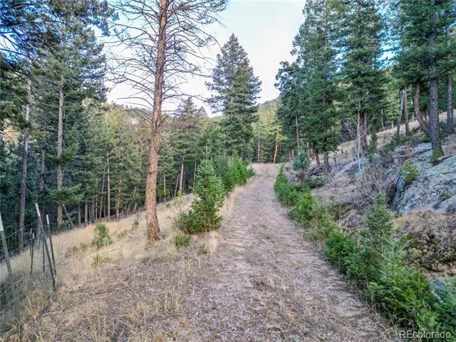 26779 Fern Gulch Road Evergreen, CO 80439
