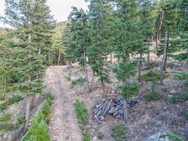 26779 Fern Gulch Road Evergreen, CO 80439