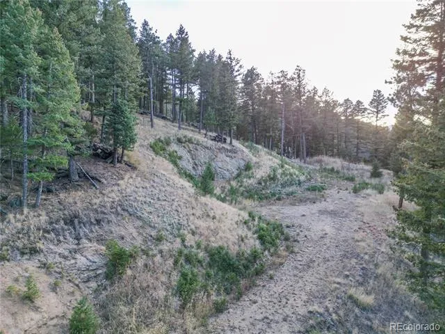 26779 Fern Gulch Road Evergreen, CO 80439
