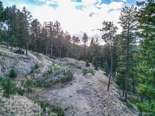 26779 Fern Gulch Road Evergreen, CO 80439