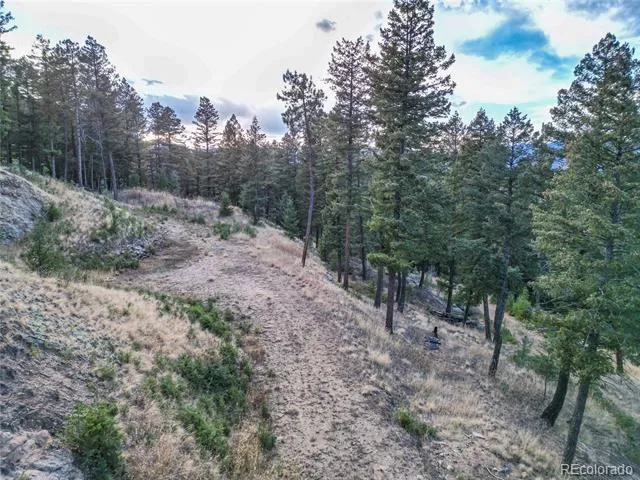 26779 Fern Gulch Road Evergreen, CO 80439