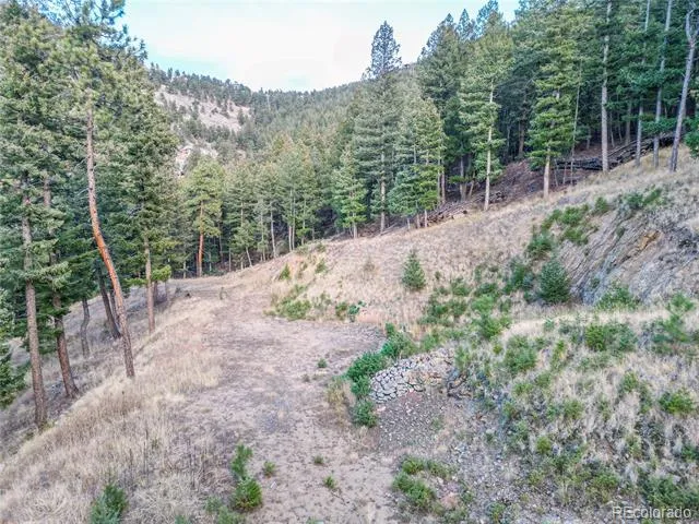 26779 Fern Gulch Road Evergreen, CO 80439