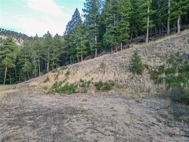 26779 Fern Gulch Road Evergreen, CO 80439