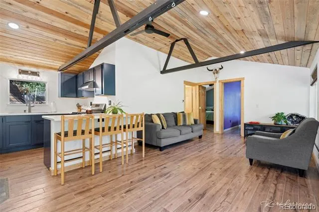 582 Karlann Drive Black Hawk, CO 80422