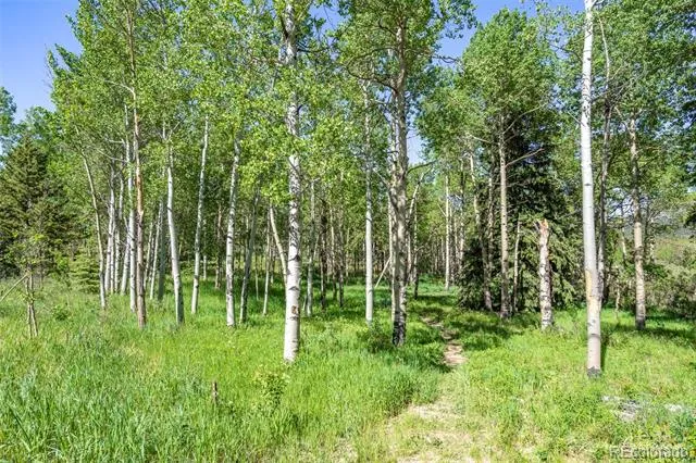 582 Karlann Drive Black Hawk, CO 80422