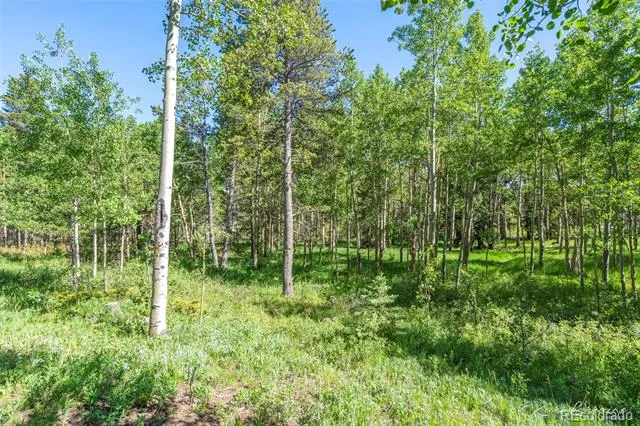 582 Karlann Drive Black Hawk, CO 80422