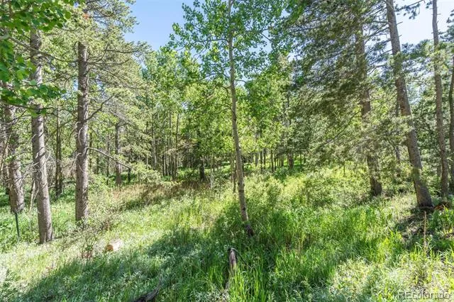 582 Karlann Drive Black Hawk, CO 80422