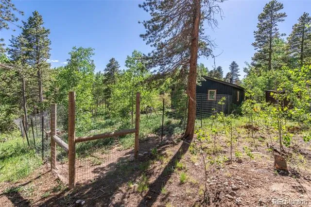 582 Karlann Drive Black Hawk, CO 80422