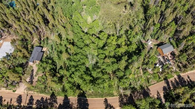 582 Karlann Drive Black Hawk, CO 80422