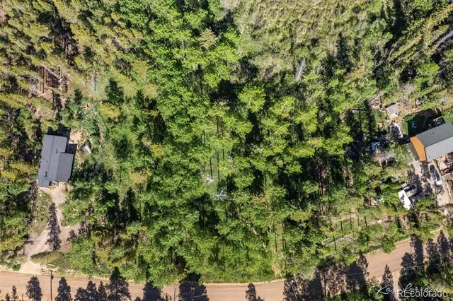 582 Karlann Drive Black Hawk, CO 80422
