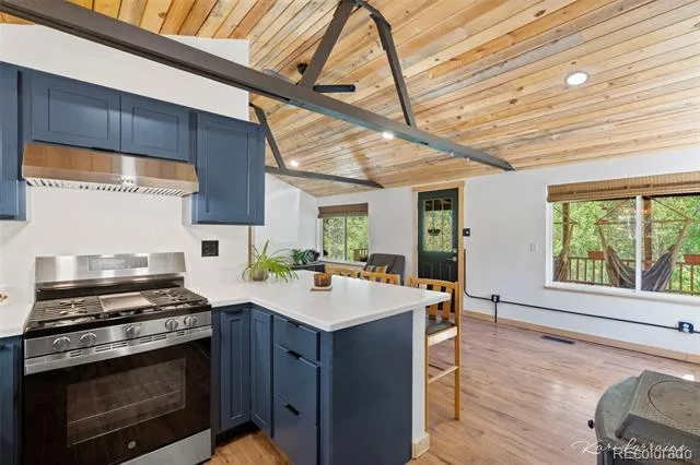 582 Karlann Drive Black Hawk, CO 80422