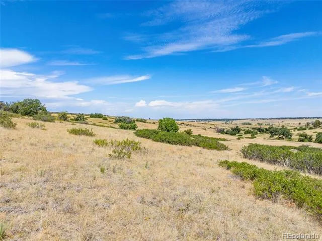 8755 Lost Lake Drive Franktown, CO 80116