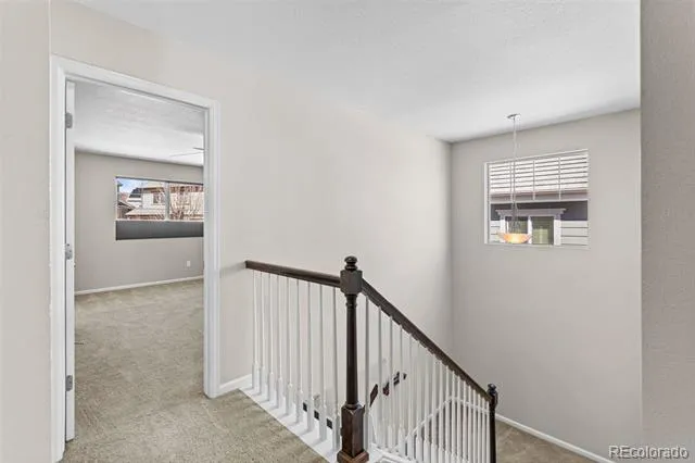 7312 Grady Circle Castle Rock, CO 80108