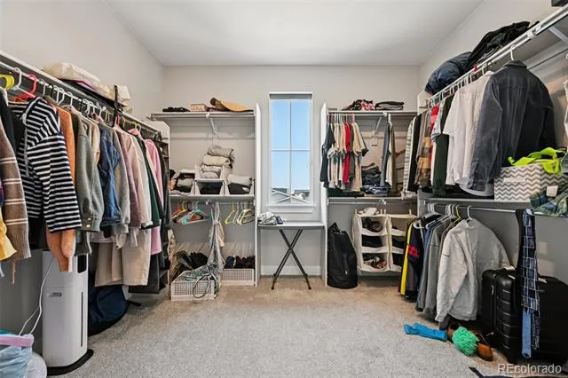 8491 Hotchkiss Loop Littleton, CO 80125