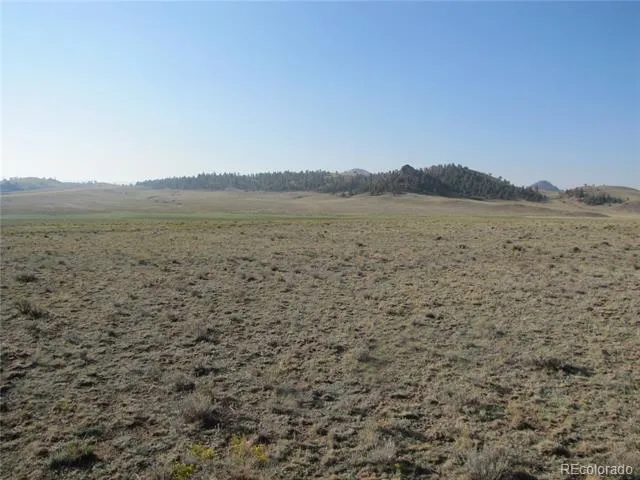 0 Buffalo Drive Hartsel, CO 80449