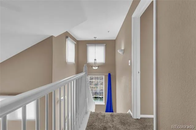 488 Black Feather Loop #215 Castle Rock, CO 80104