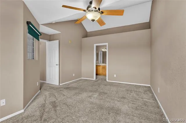 488 Black Feather Loop #215 Castle Rock, CO 80104
