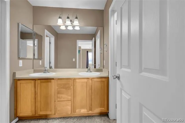 488 Black Feather Loop #215 Castle Rock, CO 80104
