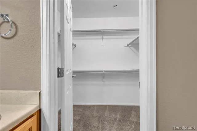 488 Black Feather Loop #215 Castle Rock, CO 80104