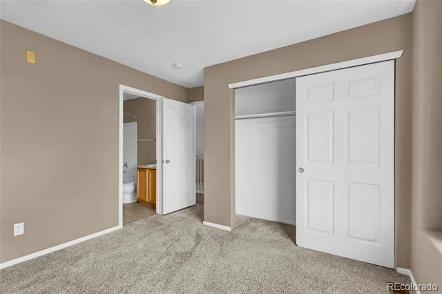 488 Black Feather Loop #215 Castle Rock, CO 80104