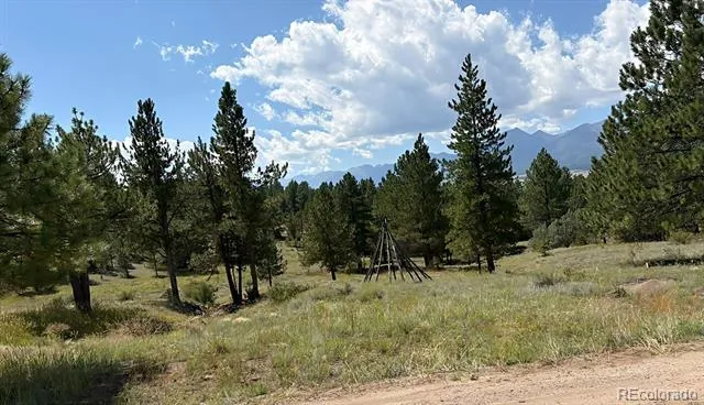 278 Blue Grouse Circle Westcliffe, CO 81252