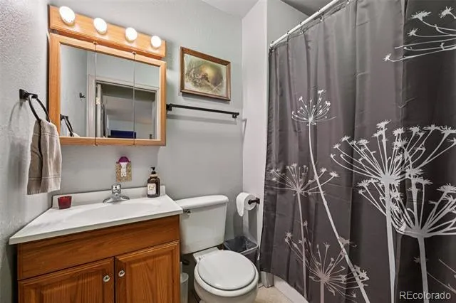 206 Pinon Circle Black Hawk, CO 80422