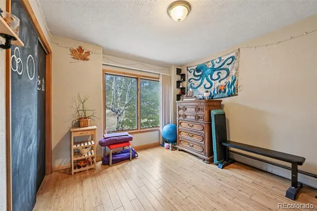 206 Pinon Circle Black Hawk, CO 80422