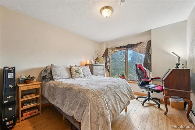 206 Pinon Circle Black Hawk, CO 80422