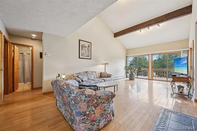 206 Pinon Circle Black Hawk, CO 80422