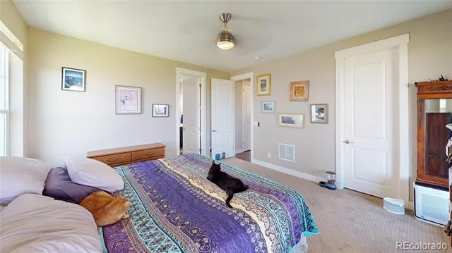 3403 Linden Circle Dacono, CO 80514