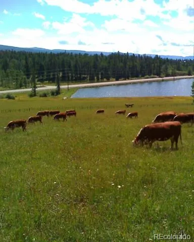 47632 N US Highway 550 Durango, CO 81301
