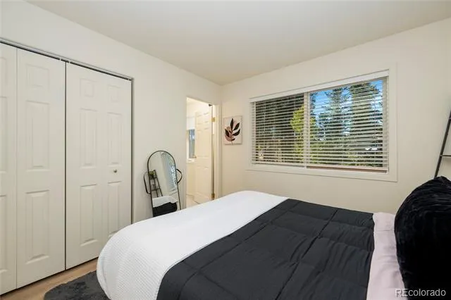 753 County Road 830 #1 Fraser, CO 80442