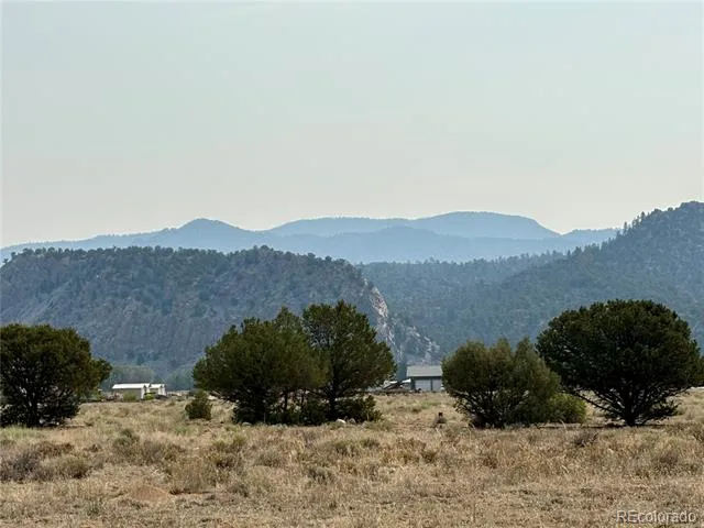 10795 County Road 197a #127 Nathrop, CO 81236