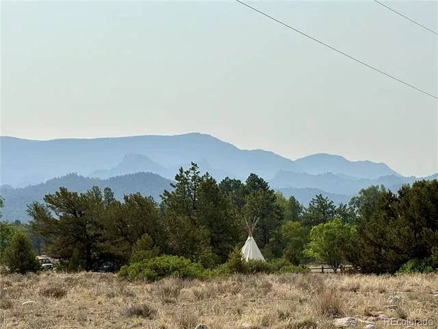 10795 County Road 197a #127 Nathrop, CO 81236