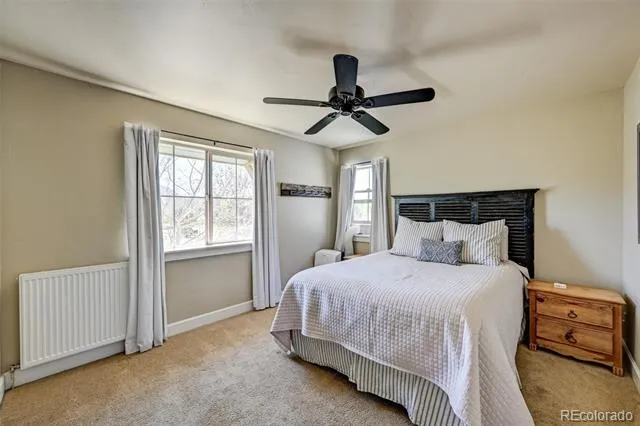 430 Crossman Avenue Buena Vista, CO 81211