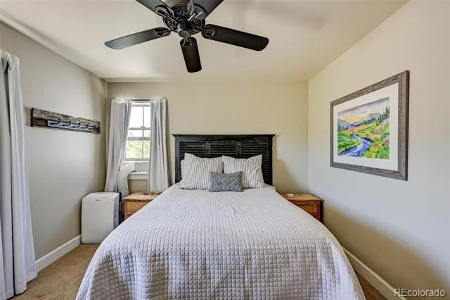 430 Crossman Avenue Buena Vista, CO 81211