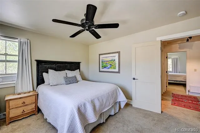 430 Crossman Avenue Buena Vista, CO 81211