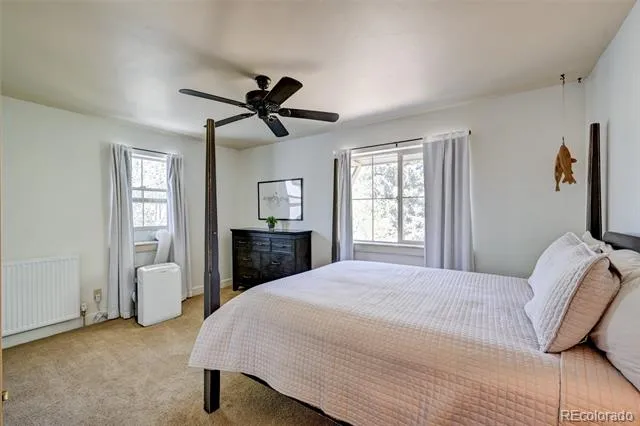 430 Crossman Avenue Buena Vista, CO 81211
