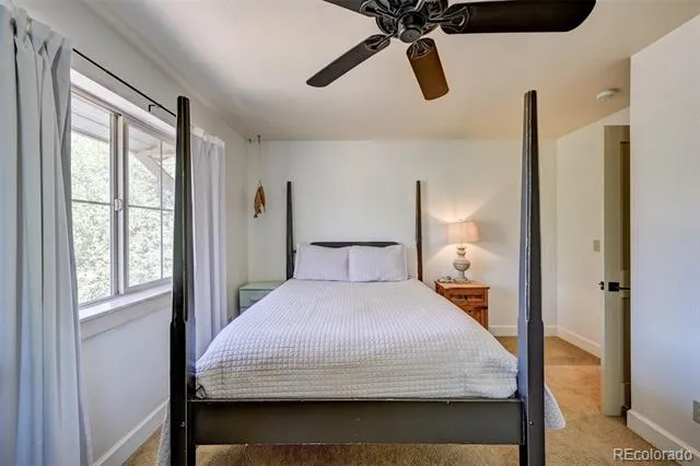 430 Crossman Avenue Buena Vista, CO 81211