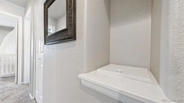 873 Fairhaven Street Castle Rock, CO 80104