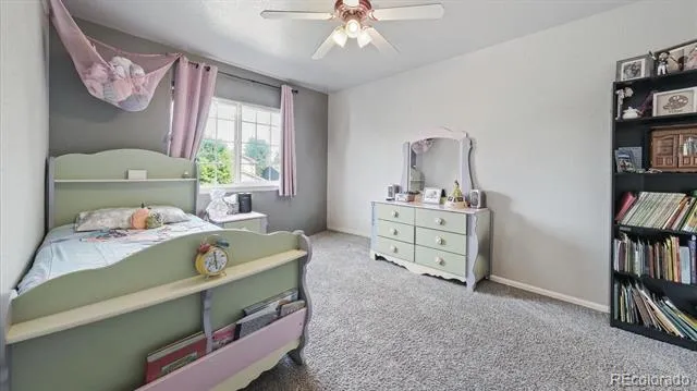 873 Fairhaven Street Castle Rock, CO 80104
