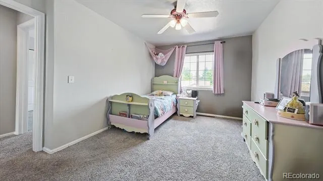 873 Fairhaven Street Castle Rock, CO 80104