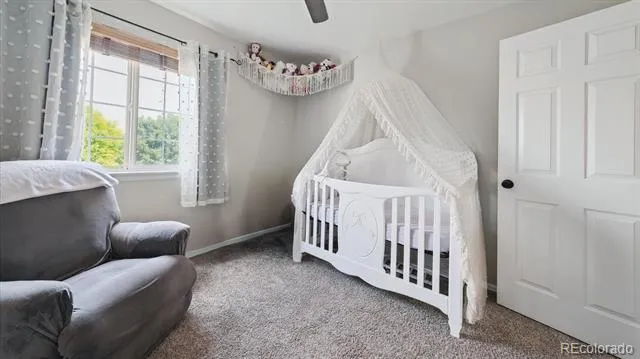 873 Fairhaven Street Castle Rock, CO 80104