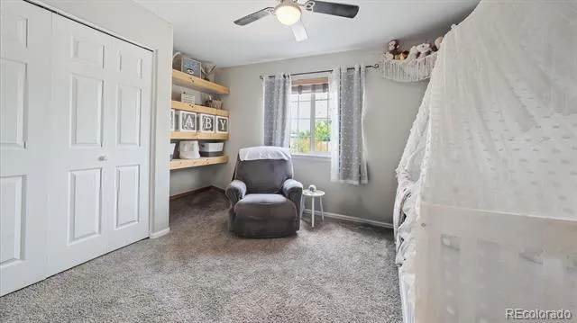 873 Fairhaven Street Castle Rock, CO 80104