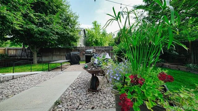 873 Fairhaven Street Castle Rock, CO 80104