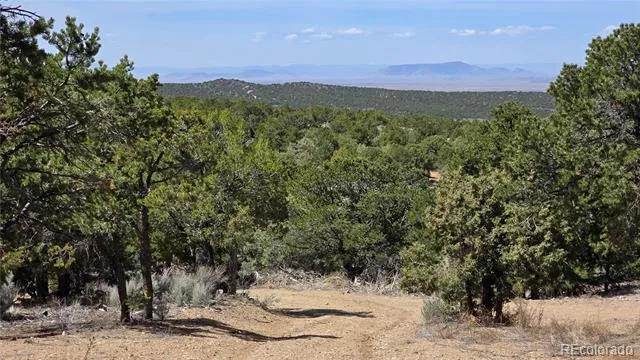 1380 Dunn Road San Luis, CO 81152